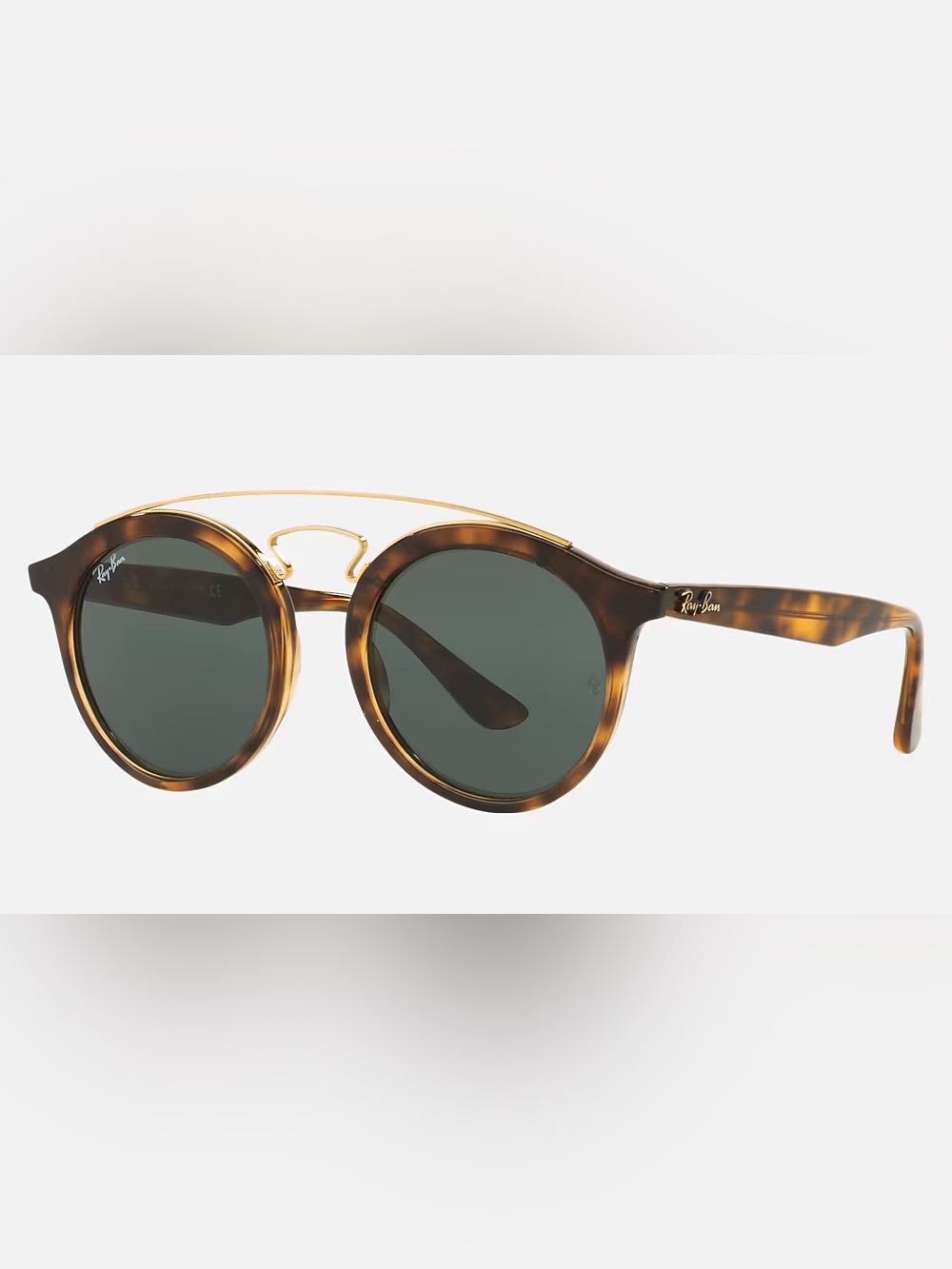 RayBan Gatsby Sunglasses